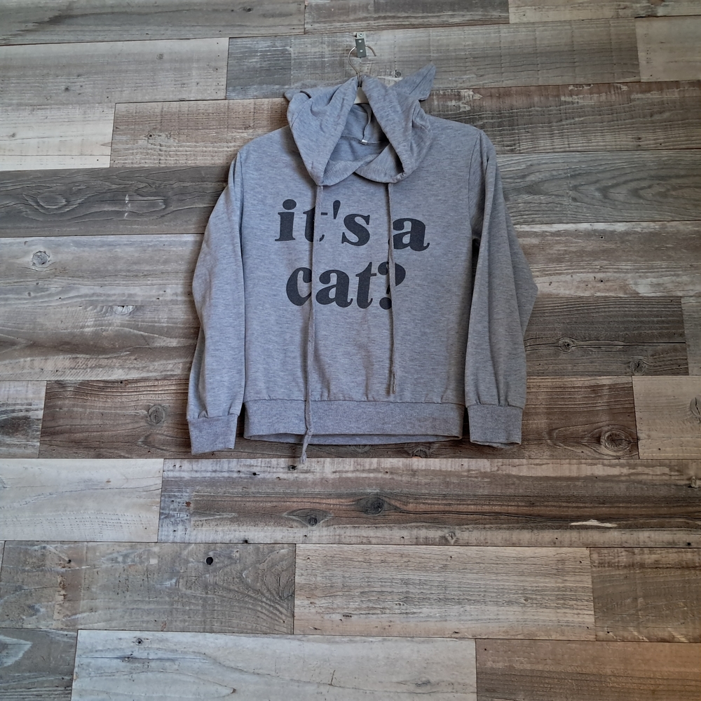Gray Cat Hoodie with Ears